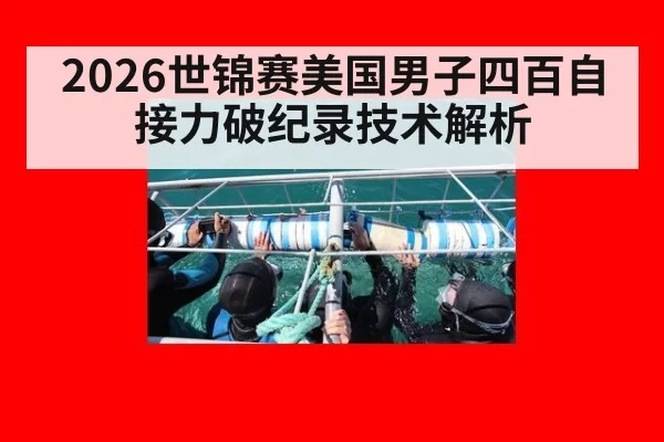 2026世锦赛美国男子四百自接力破纪录技术解析